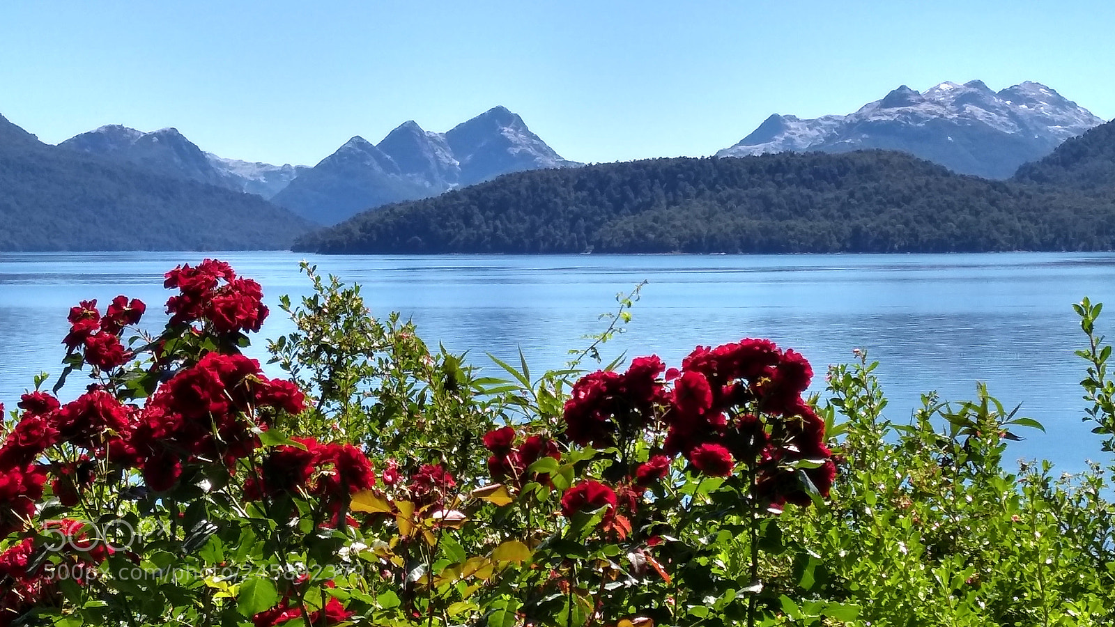 Motorola Moto G (5S) Plus sample photo. Paradise itself photography