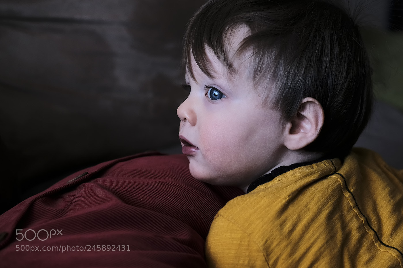 Fujifilm X-Pro2 sample photo. Mon petit fils d'un photography