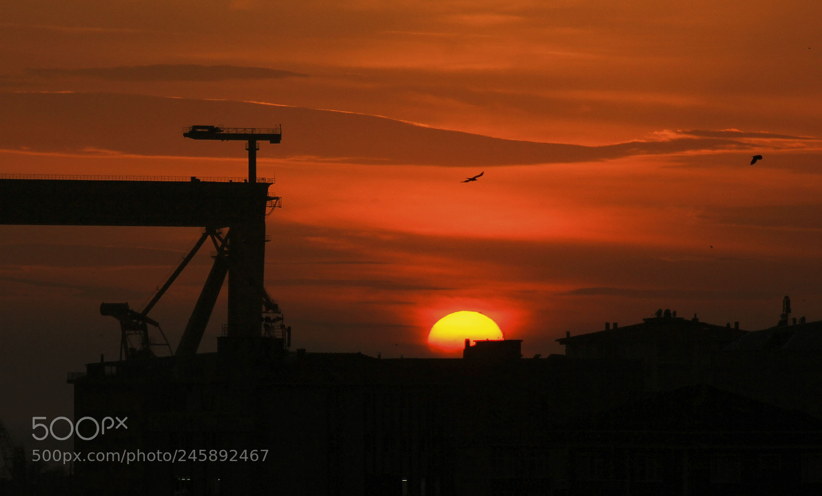 Canon EOS 60D sample photo. 143.jpg photography