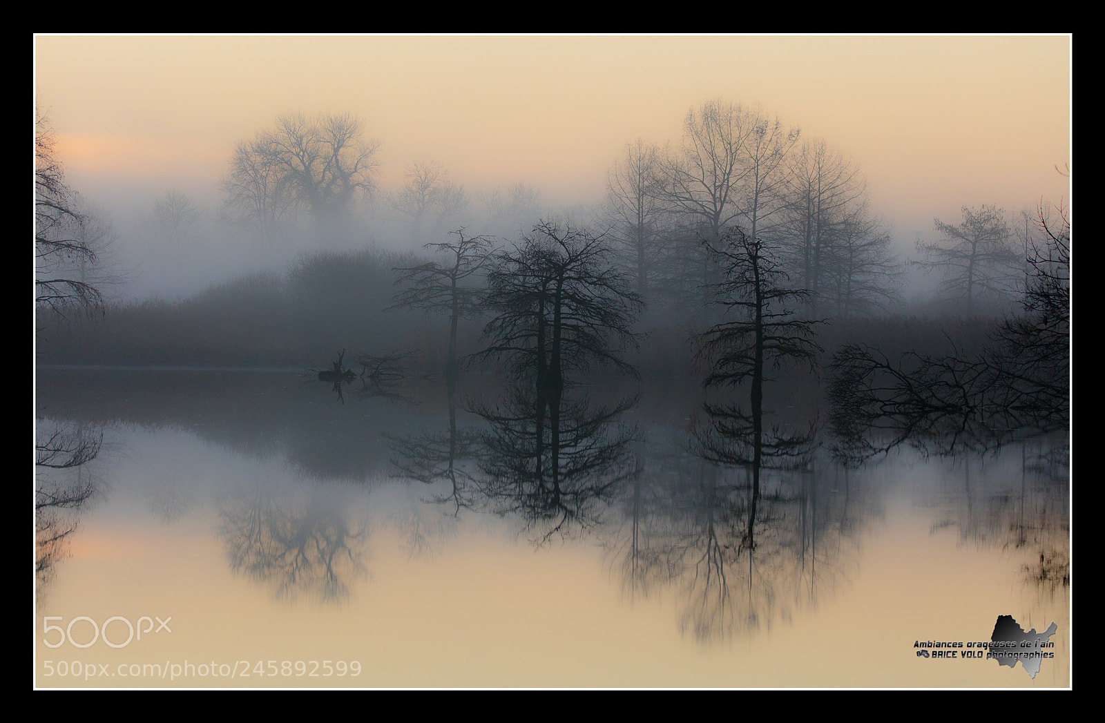 Canon EOS 5DS sample photo. Mystic morning photography