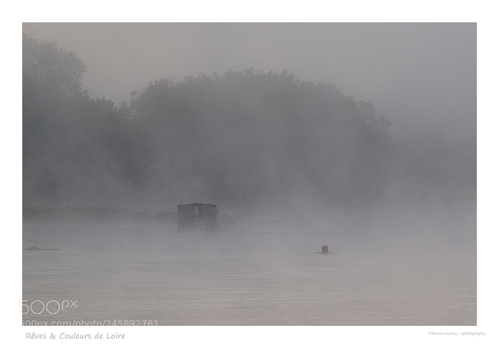 Nikon D5500 sample photo. Perdue dans la brume photography