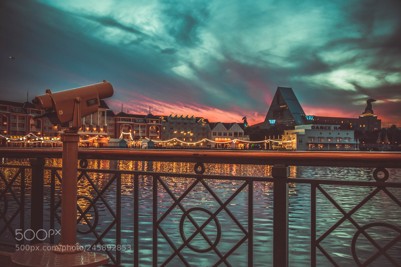 Nikon D7200 sample photo. Disney photography