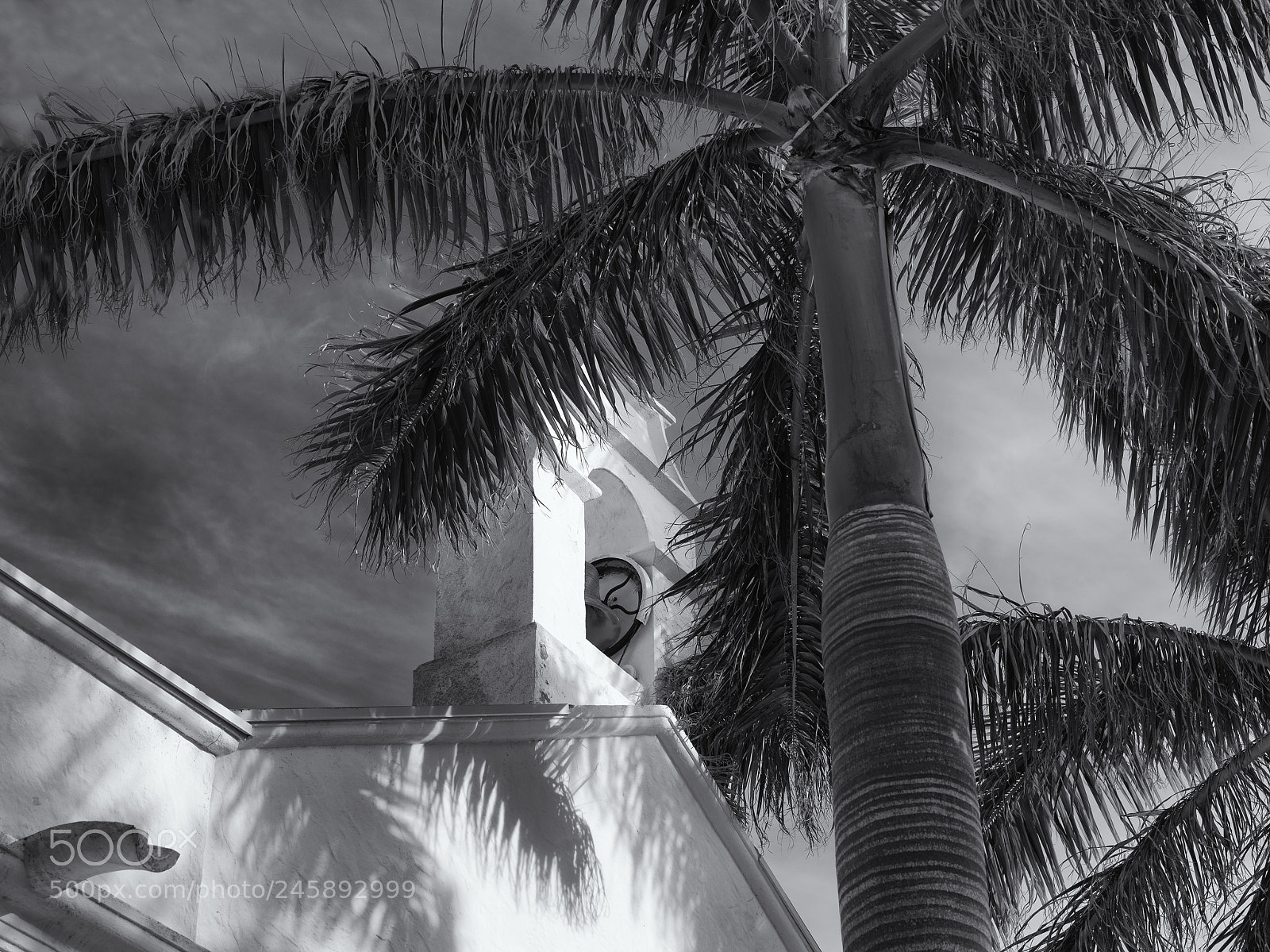 Hasselblad X1D-50c sample photo. Bell tower photography