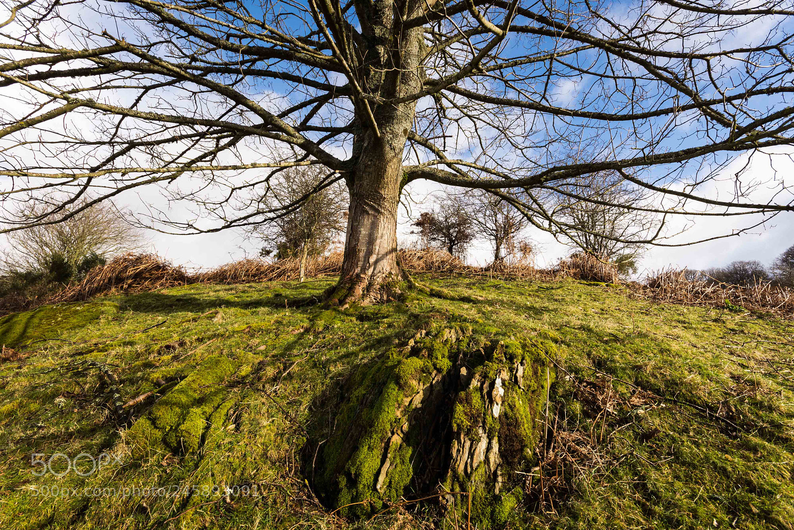 Nikon D7200 sample photo. Outstretched arms photography