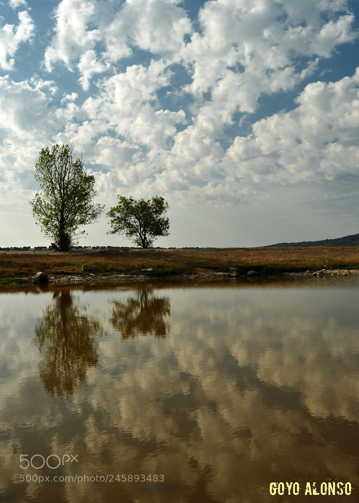 Nikon D5000 sample photo. Reflejos photography
