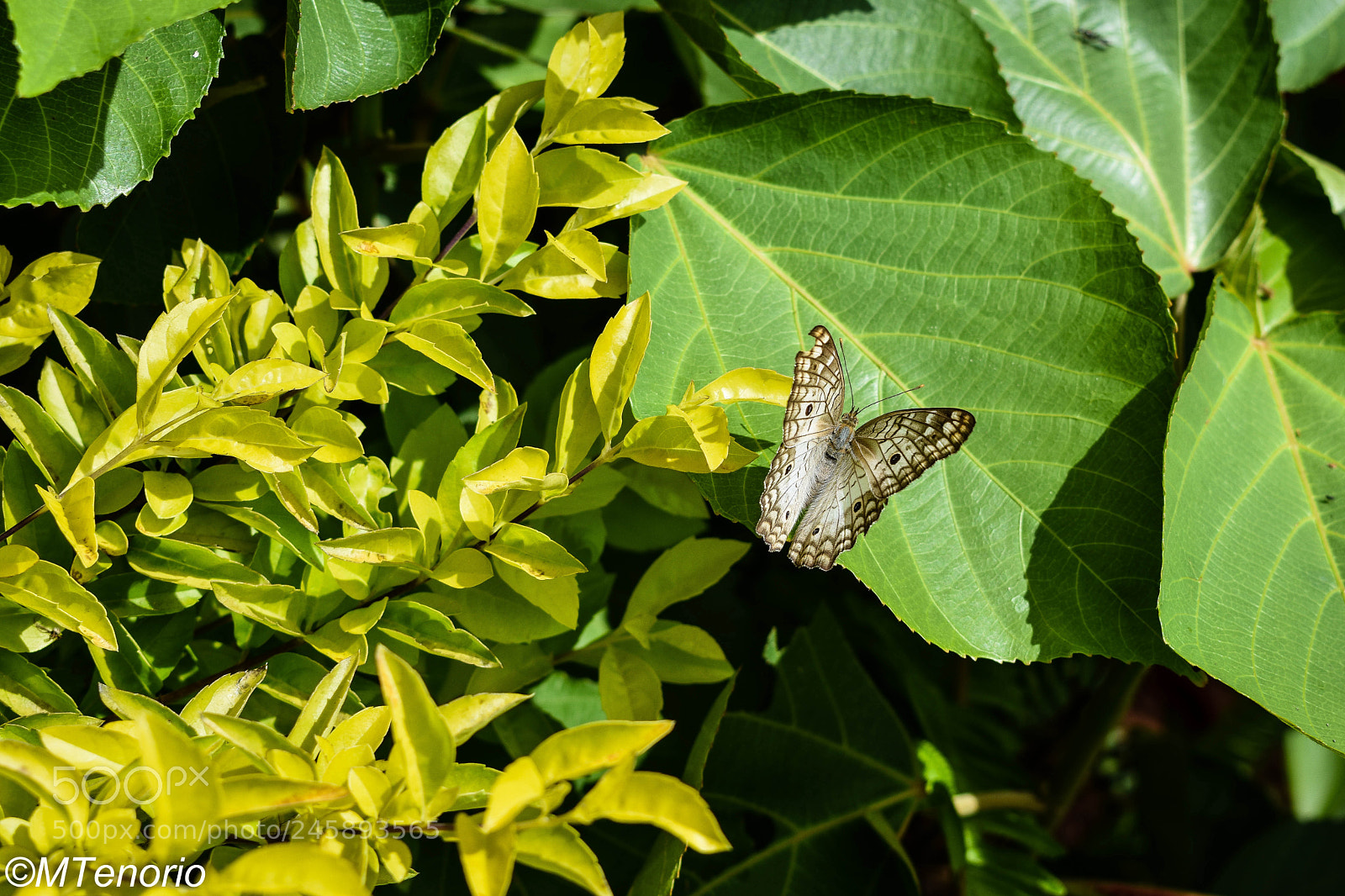 Nikon D3400 sample photo. Dsc_0296 photography