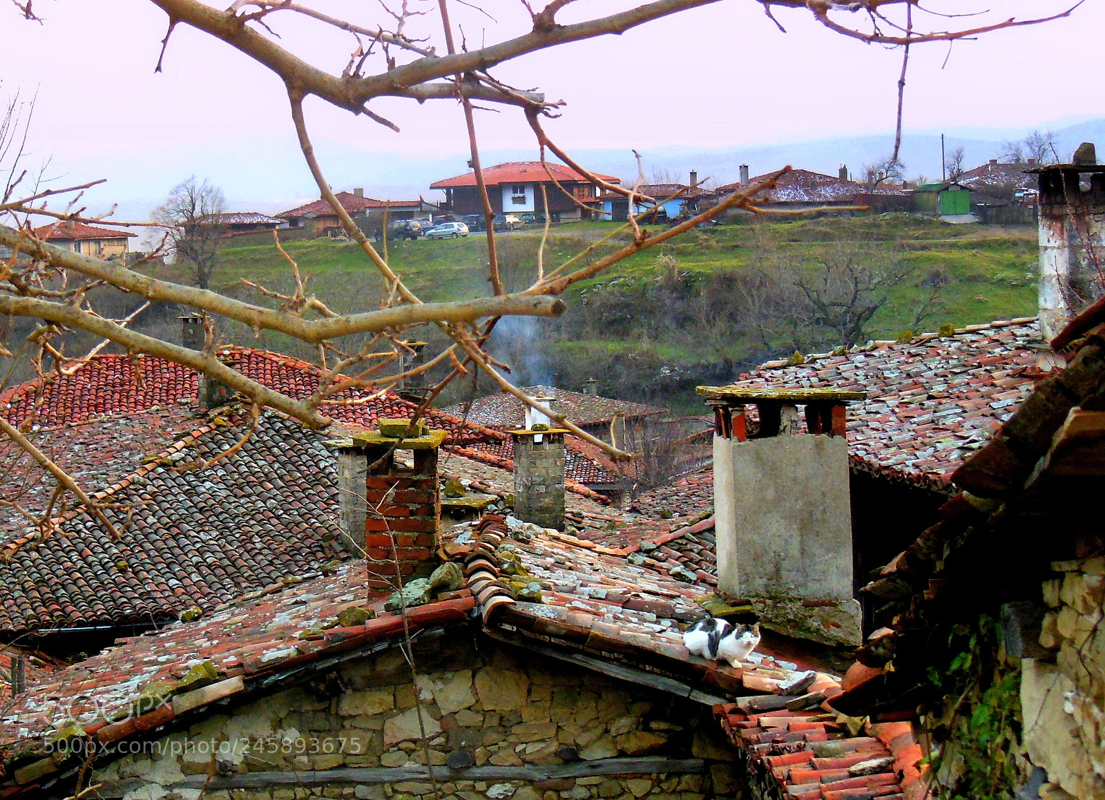 Nikon Coolpix S9300 sample photo. Winter roofs photography