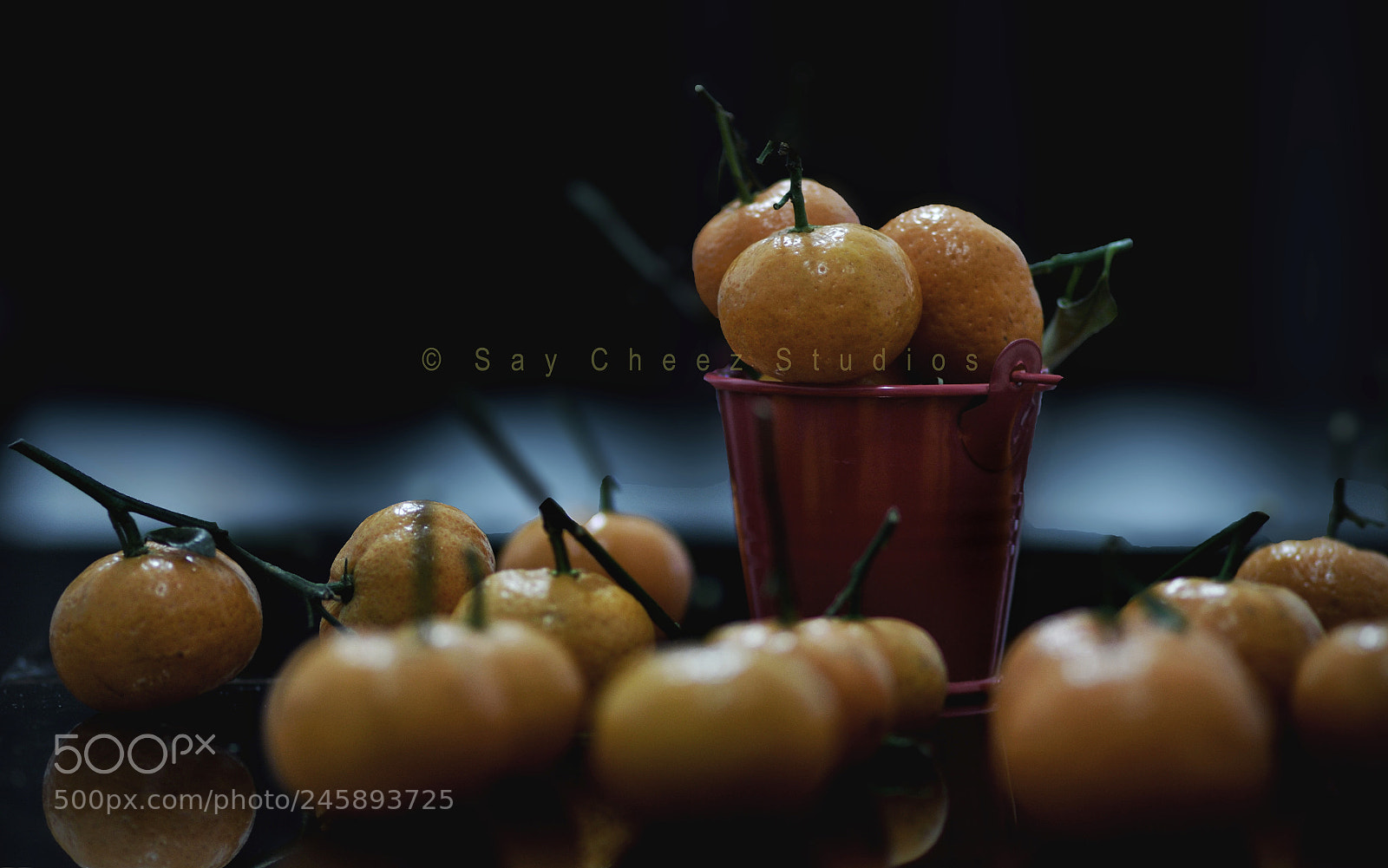 Nikon D500 sample photo. Mandarin photography