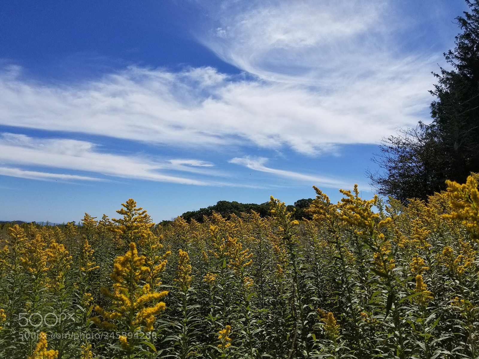 Samsung Galaxy S8 sample photo. Firetower hike photography