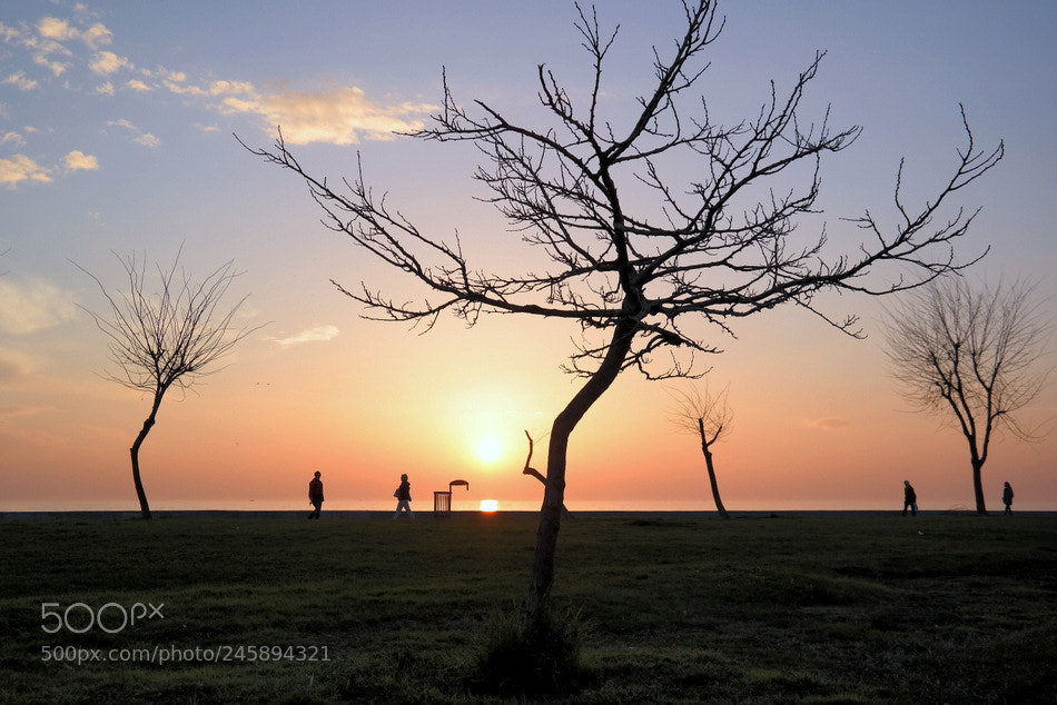 Samsung NX300 sample photo. ... photography