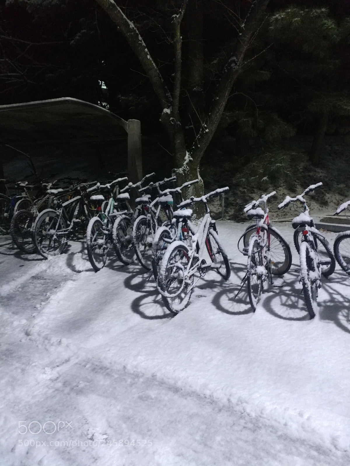 LG V20 sample photo. Bikes photography