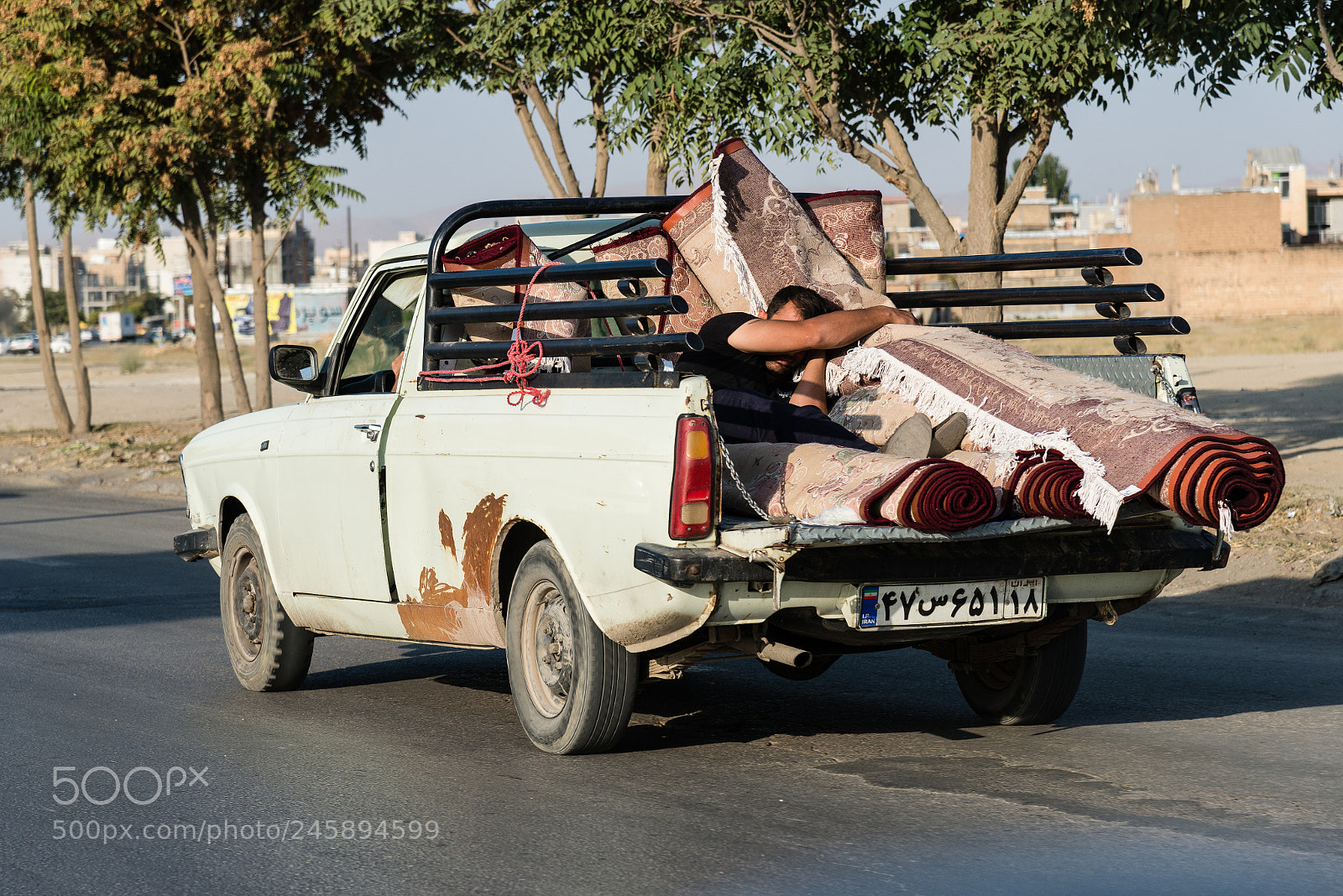 Nikon D800 sample photo. How to transport a photography