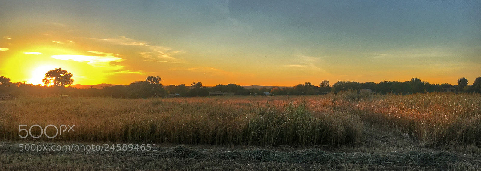Apple iPhone 6s sample photo. Sunset field photography