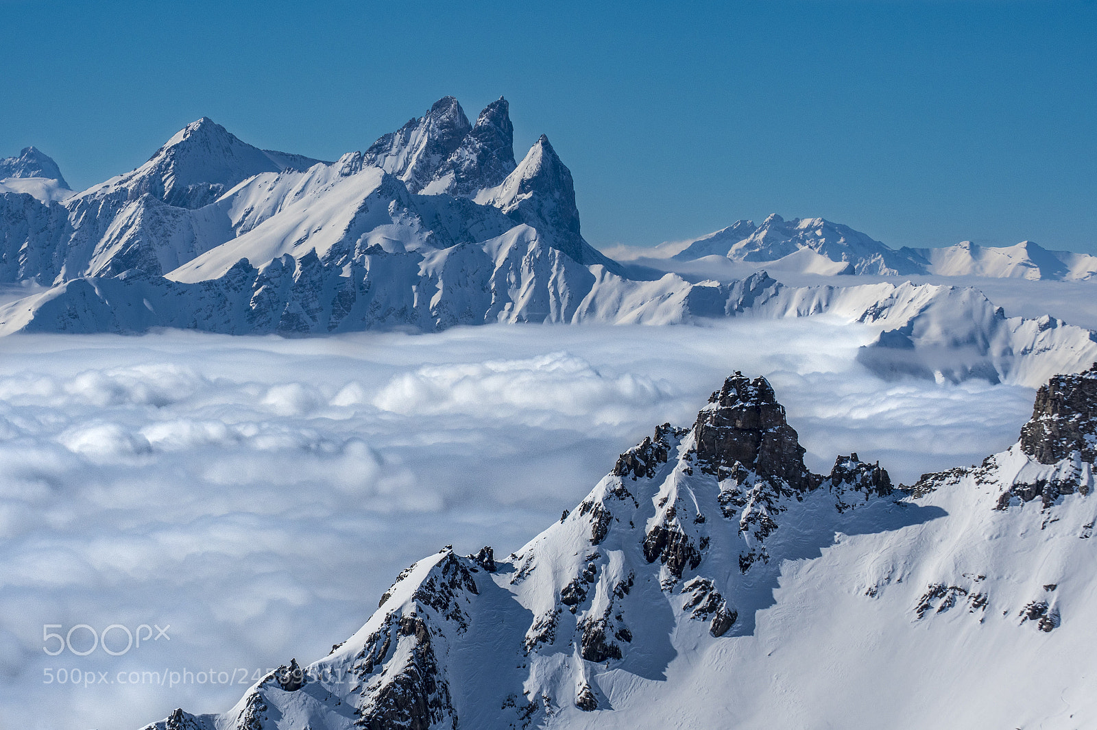 Nikon D500 sample photo. Sea of clouds photography
