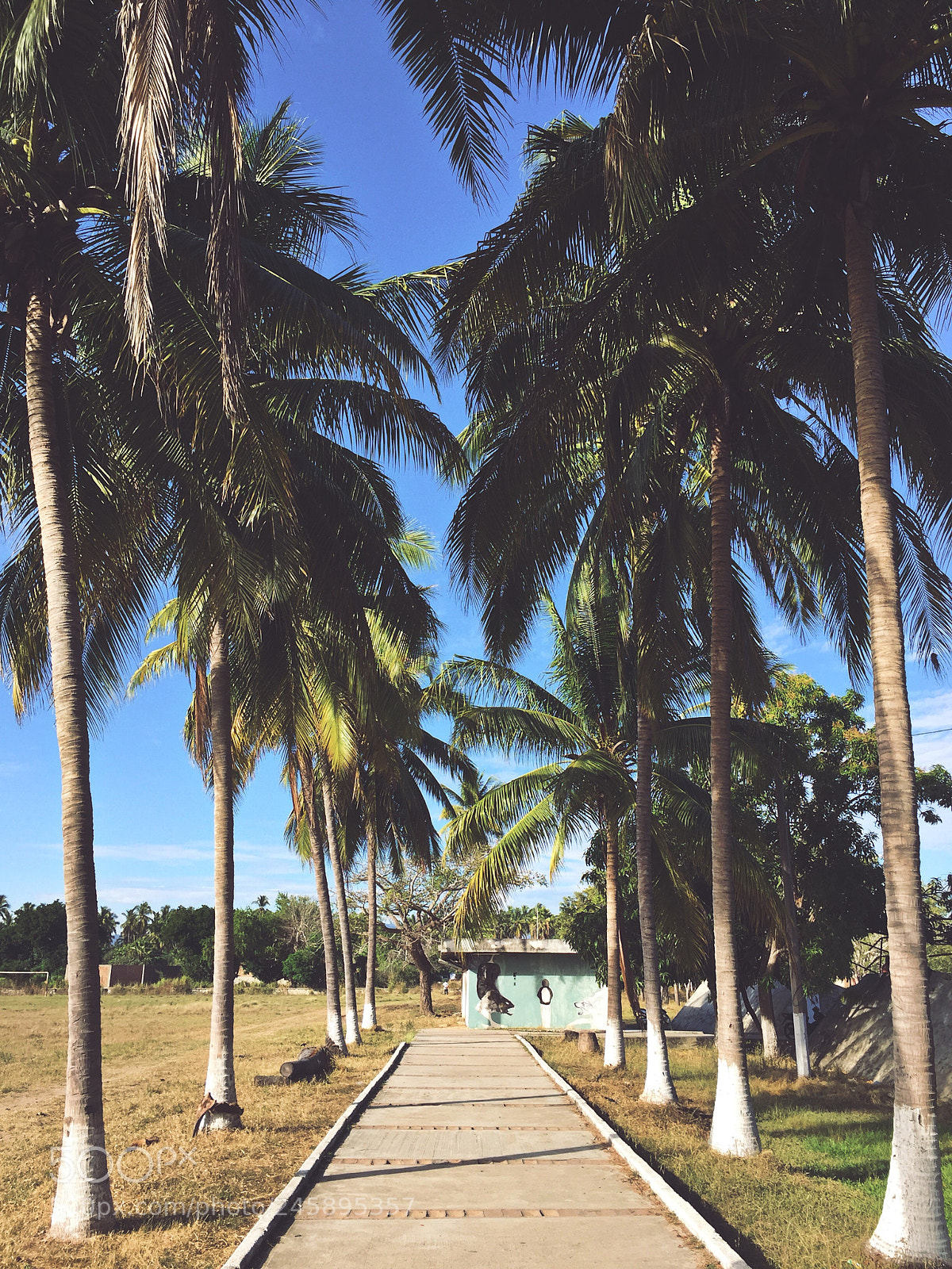Apple iPhone 6 sample photo. Barra photography