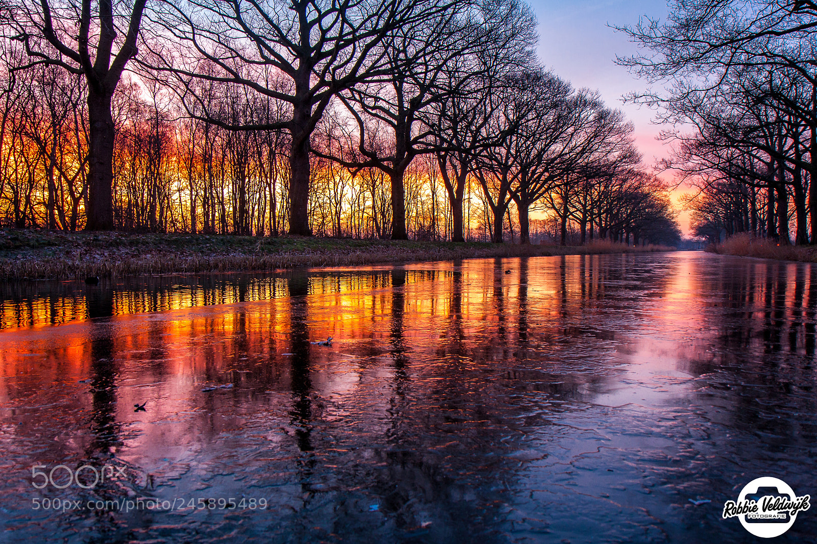 Canon EOS 40D sample photo. Frozen sunrise! photography