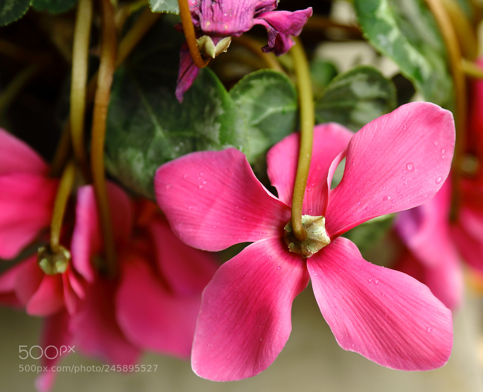 Canon EF 24-70mm F2.8L II USM sample photo. Flow photography