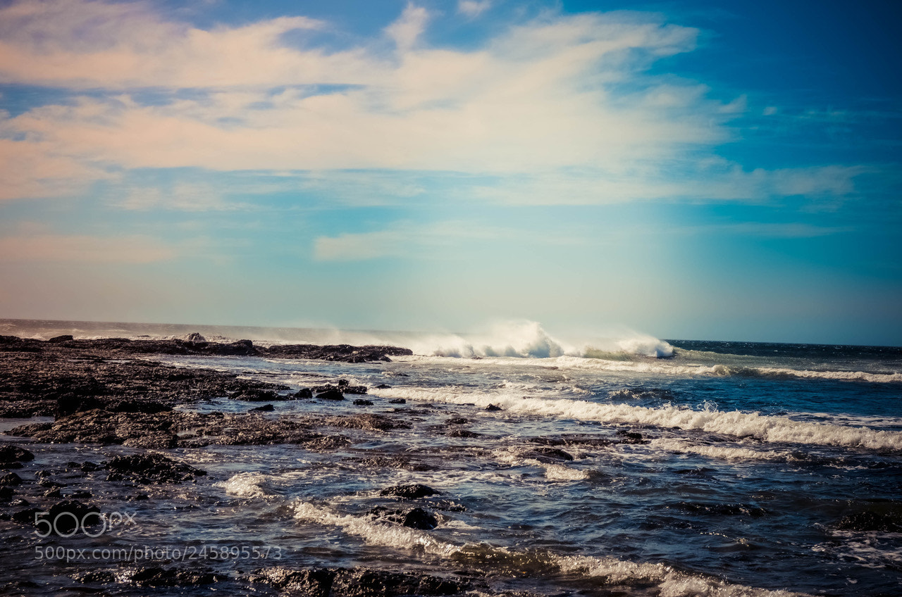 Nikon D5100 sample photo. Good day.. photography