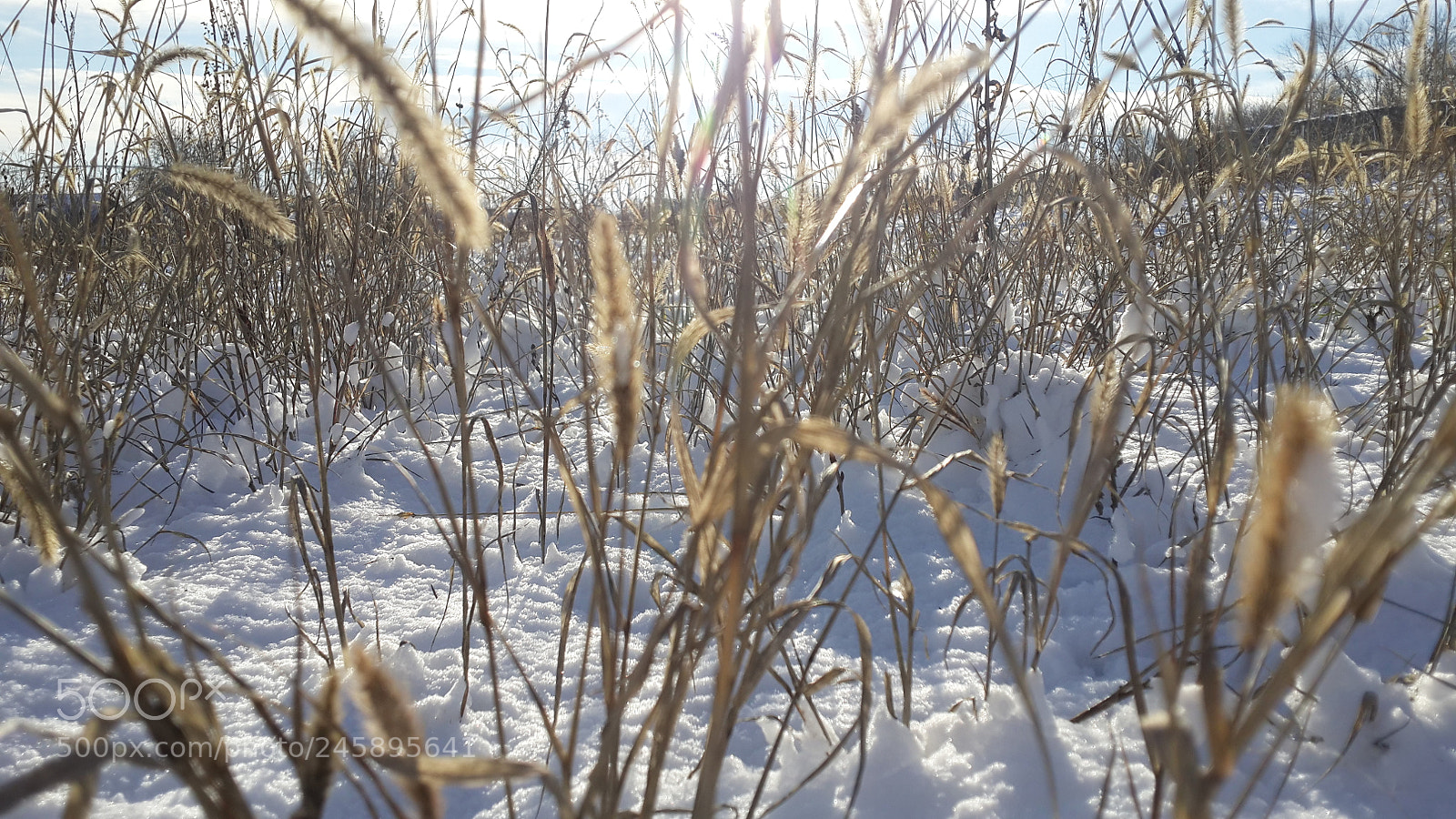 Samsung Galaxy S4 sample photo. Untitled photography