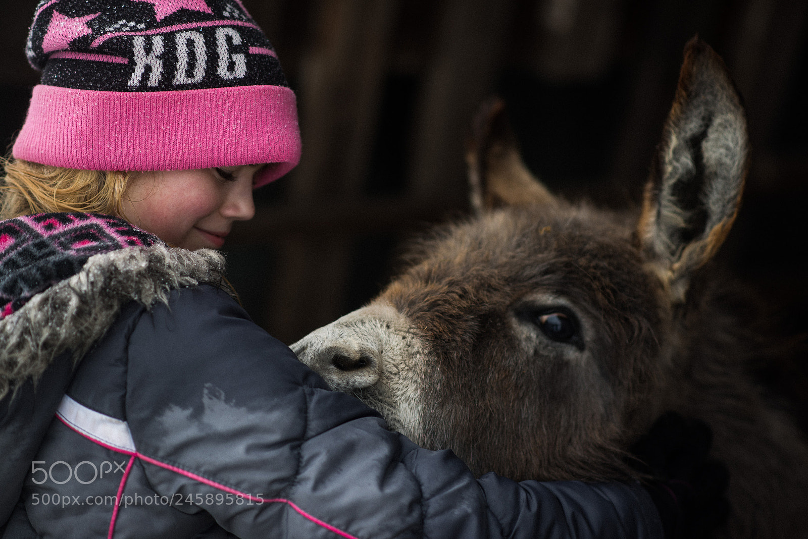 Nikon D810 sample photo. On the farm photography