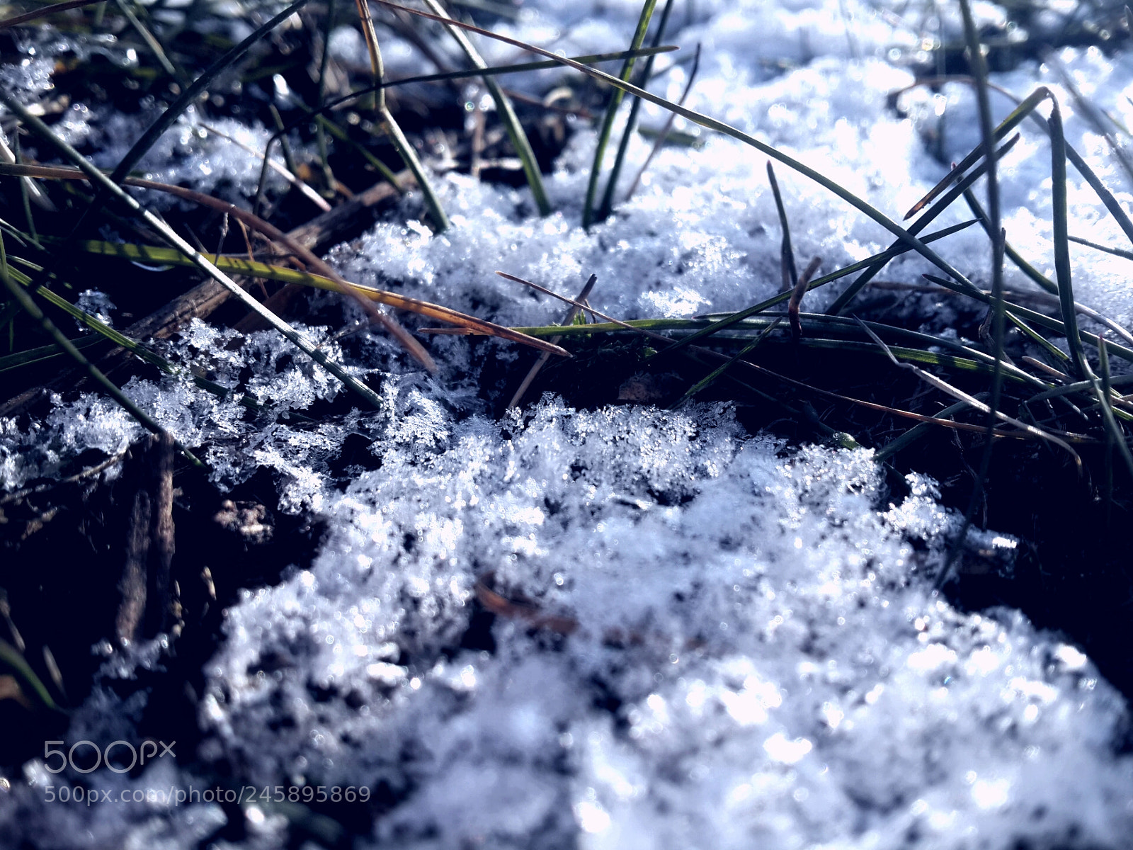 Samsung Galaxy S4 sample photo. Untitled photography