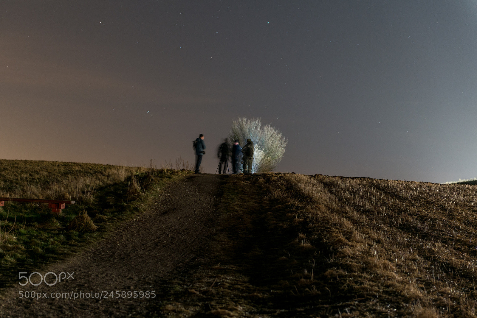 Nikon D800 sample photo. Night shot photography