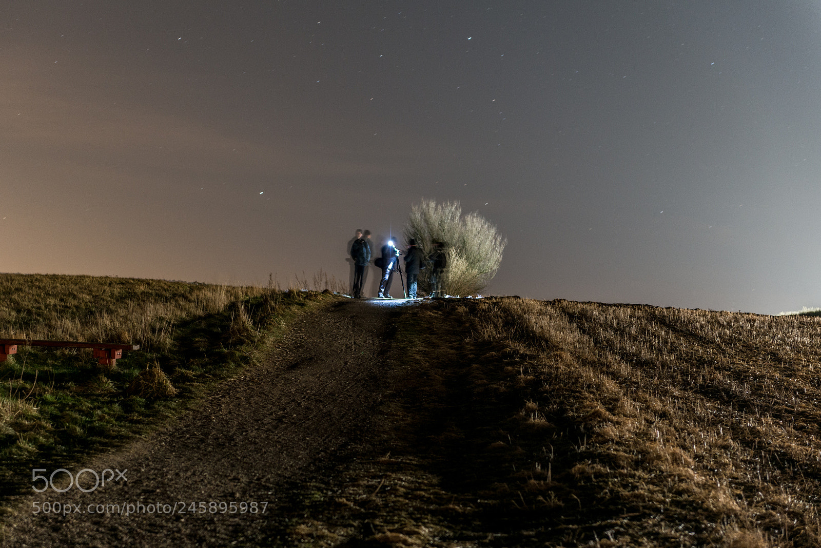 Nikon D800 sample photo. Night shot photography