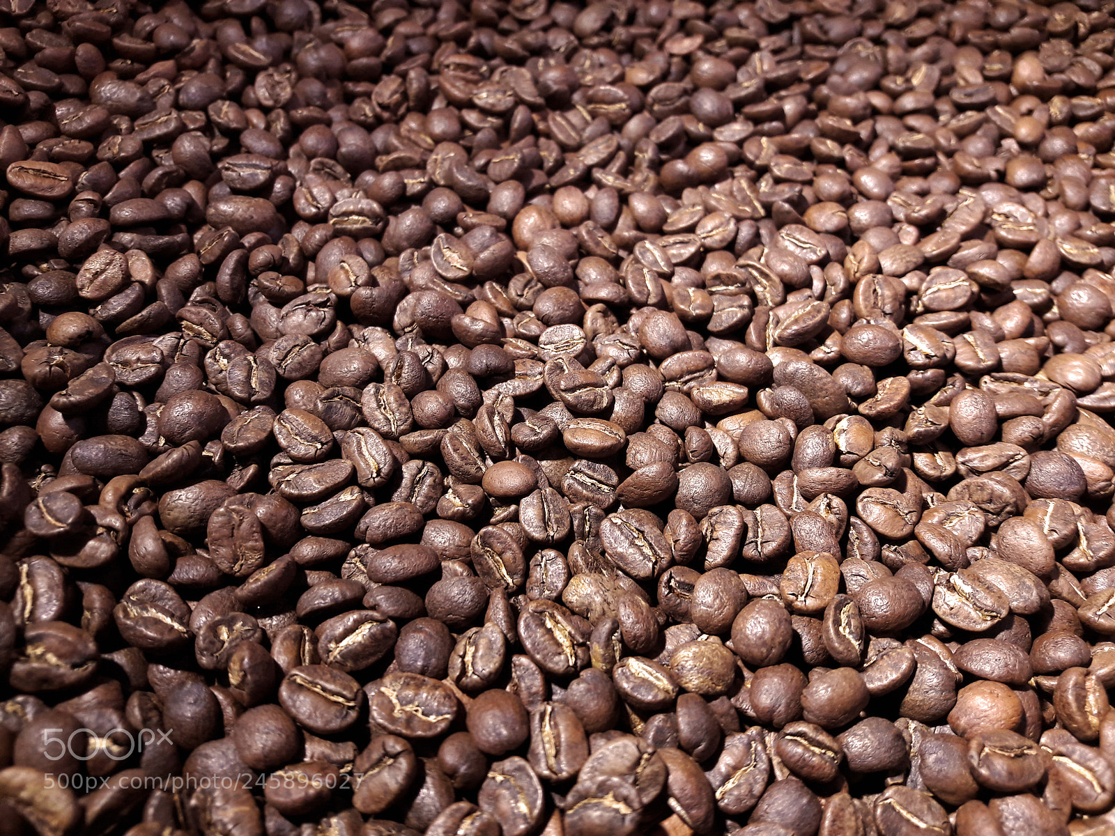 Samsung Galaxy A5(2016) sample photo. Coffee seeds photography