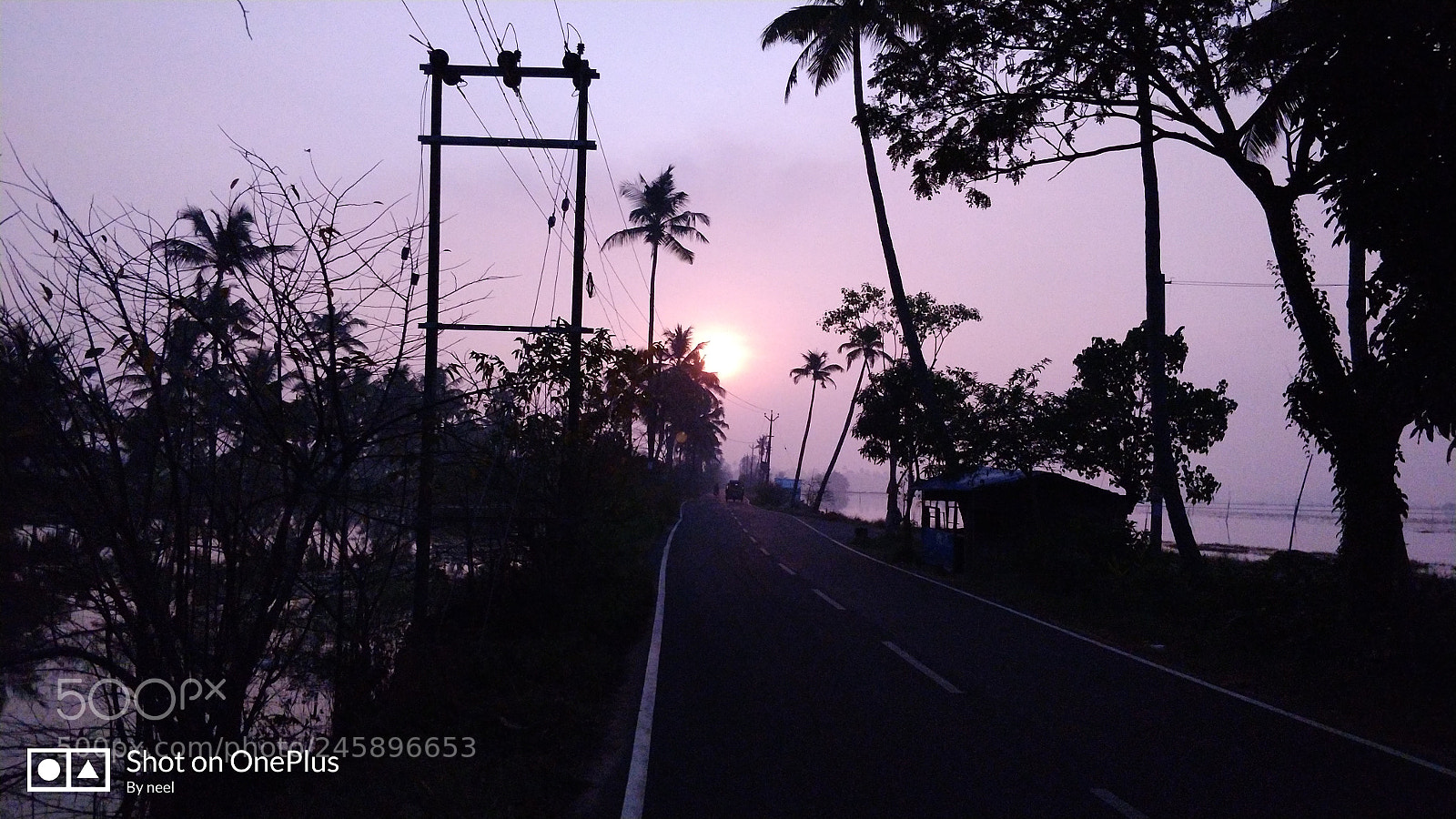 OnePlus 5 sample photo. Untitled photography