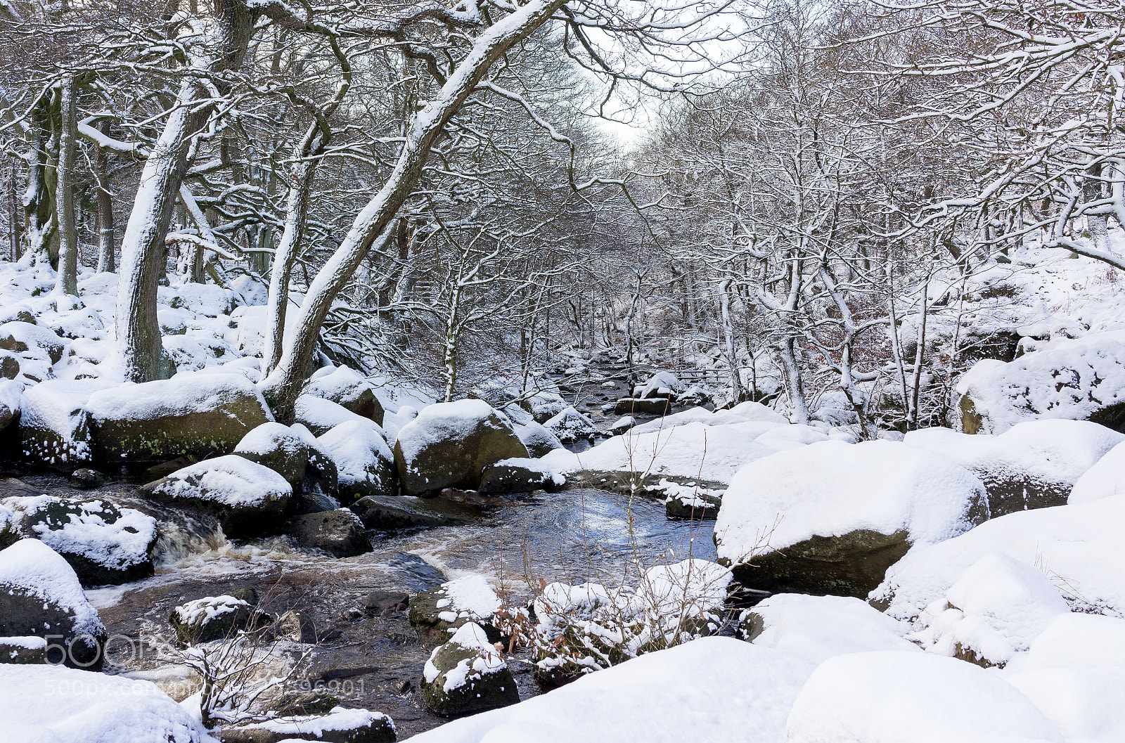 Sony Cyber-shot DSC-RX1 sample photo. Padley gorge photography