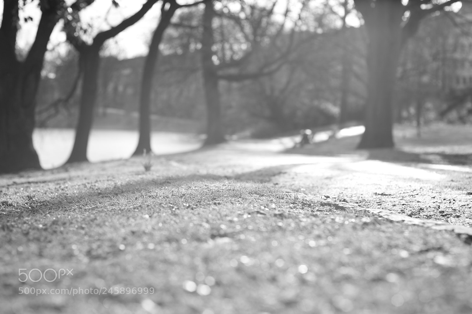 Canon EOS 5D sample photo. Kalt photography
