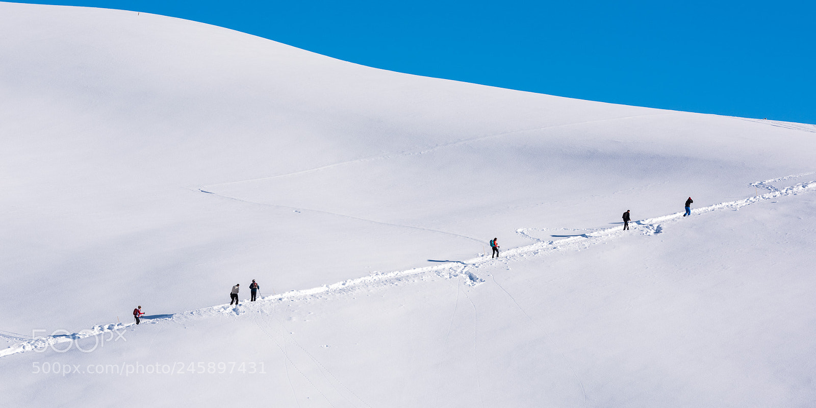 Nikon D810 sample photo. Climb photography
