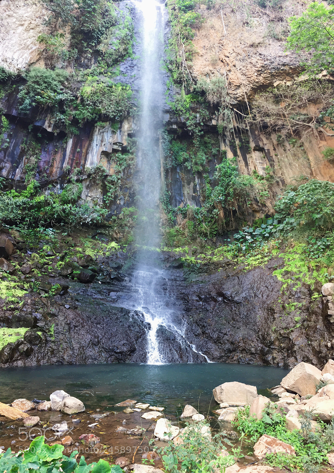 Apple iPhone 6 sample photo. Let the flow clear photography
