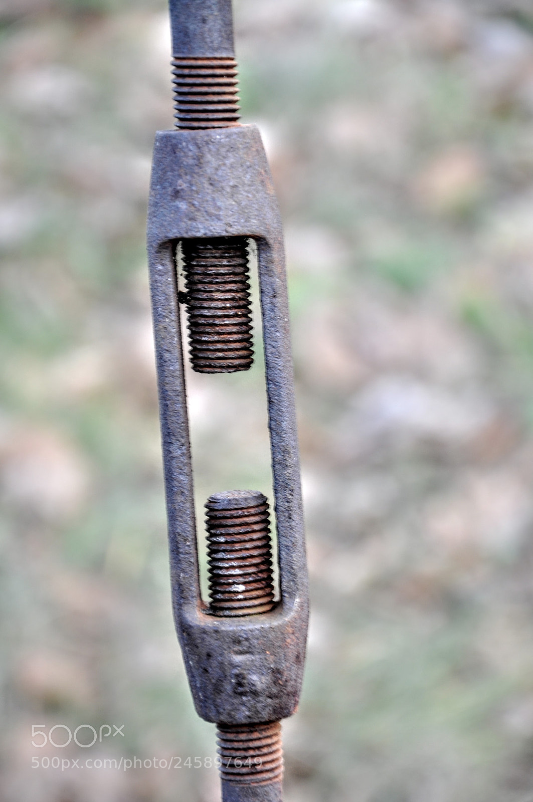 Nikon D90 sample photo. Untitled photography