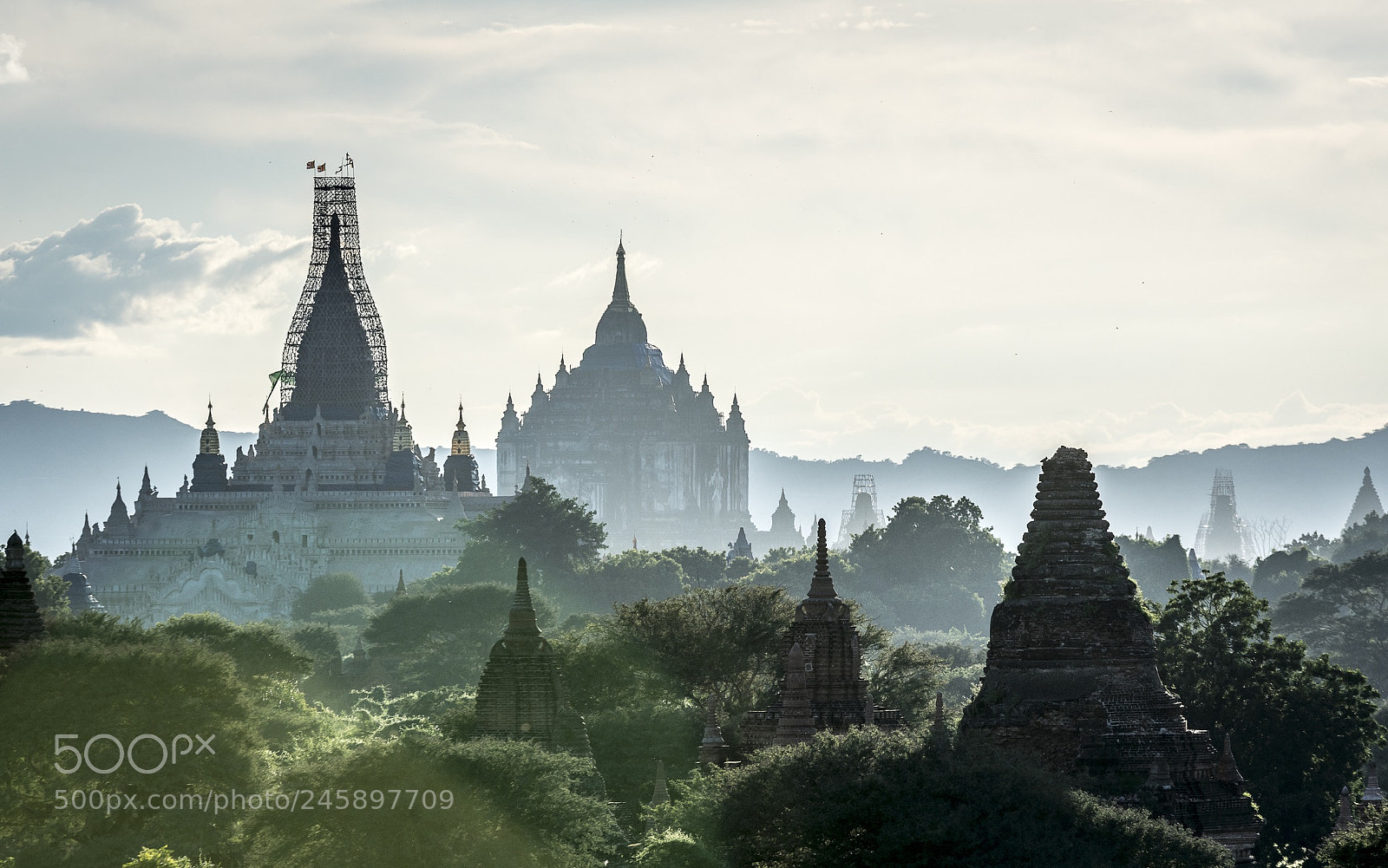 Nikon D500 sample photo. Bagan photography