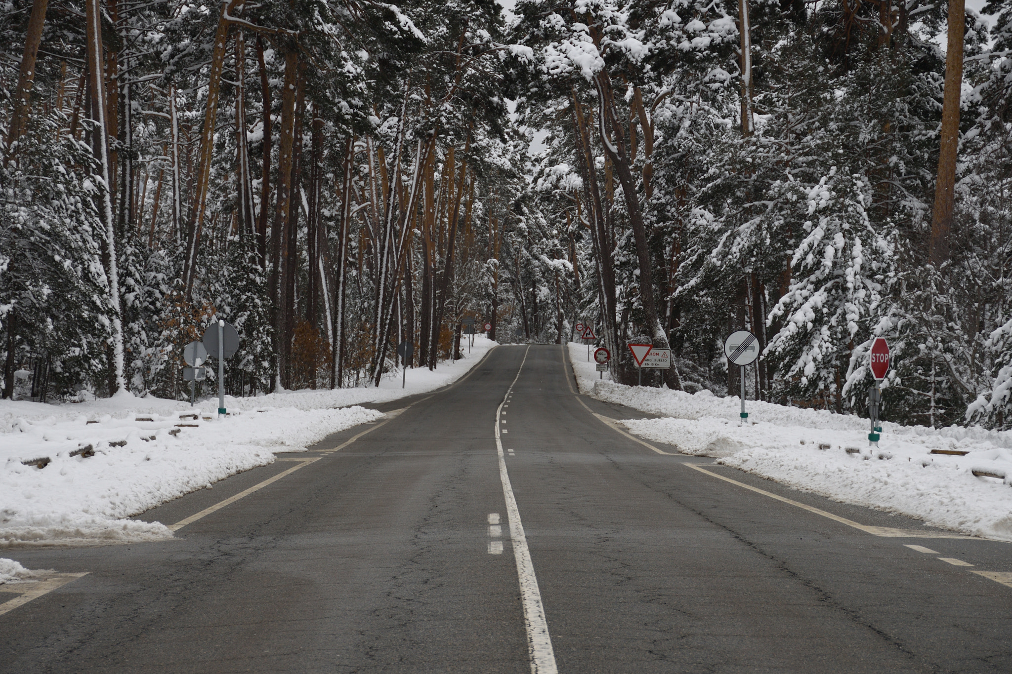 Nikon D7500 sample photo. Navacerrada photography