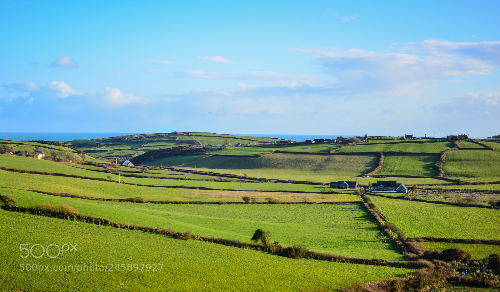 Nikon D610 sample photo. Fabric field photography