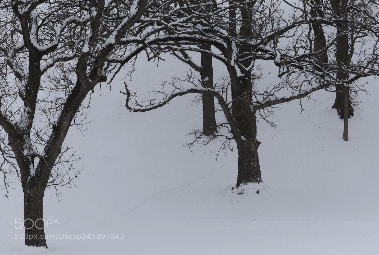 Canon EOS 7D Mark II sample photo. On  the  hill photography