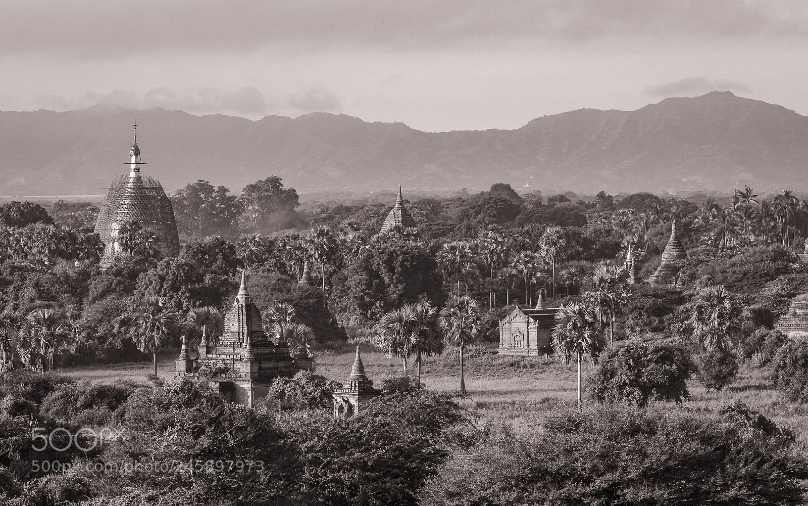 Nikon D500 sample photo. Bagan photography