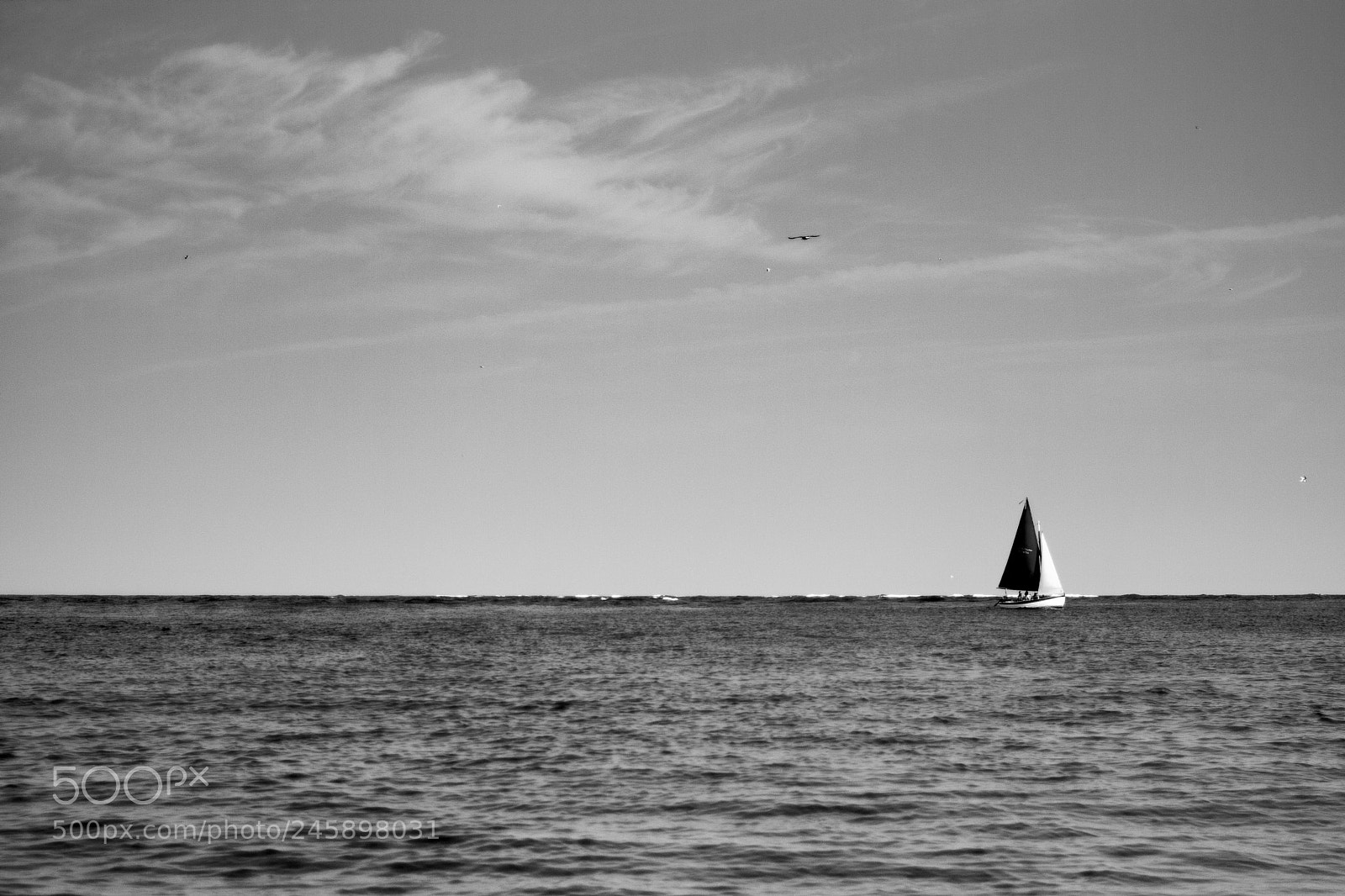Canon EOS 400D (EOS Digital Rebel XTi / EOS Kiss Digital X) sample photo. Boat photography