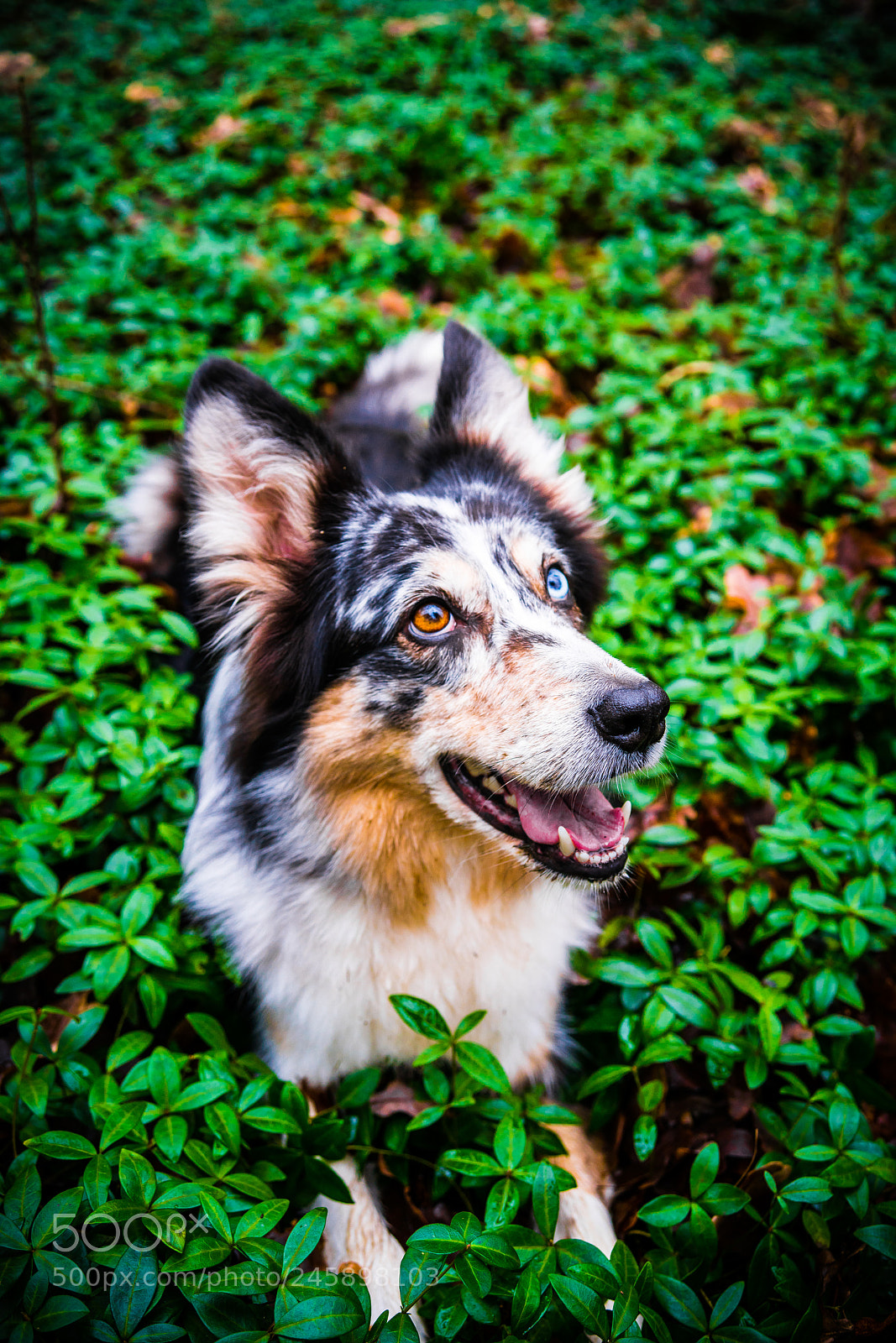 Sony a7R II sample photo. Sky photography