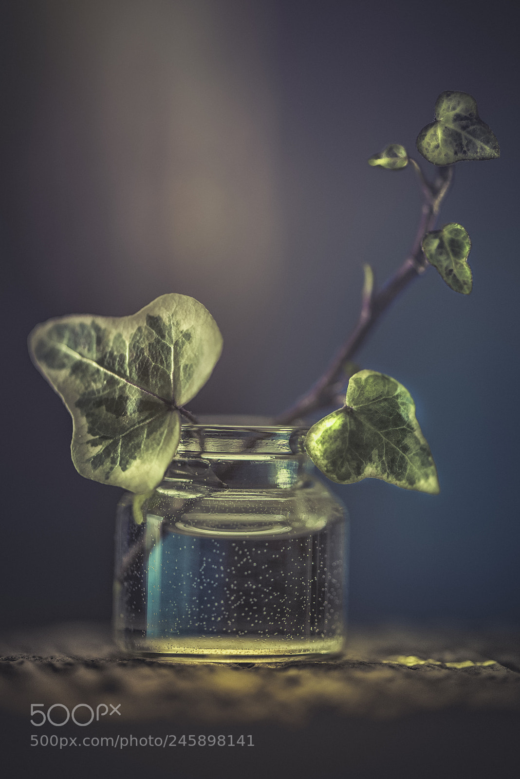 Nikon D600 sample photo. Think spring photography