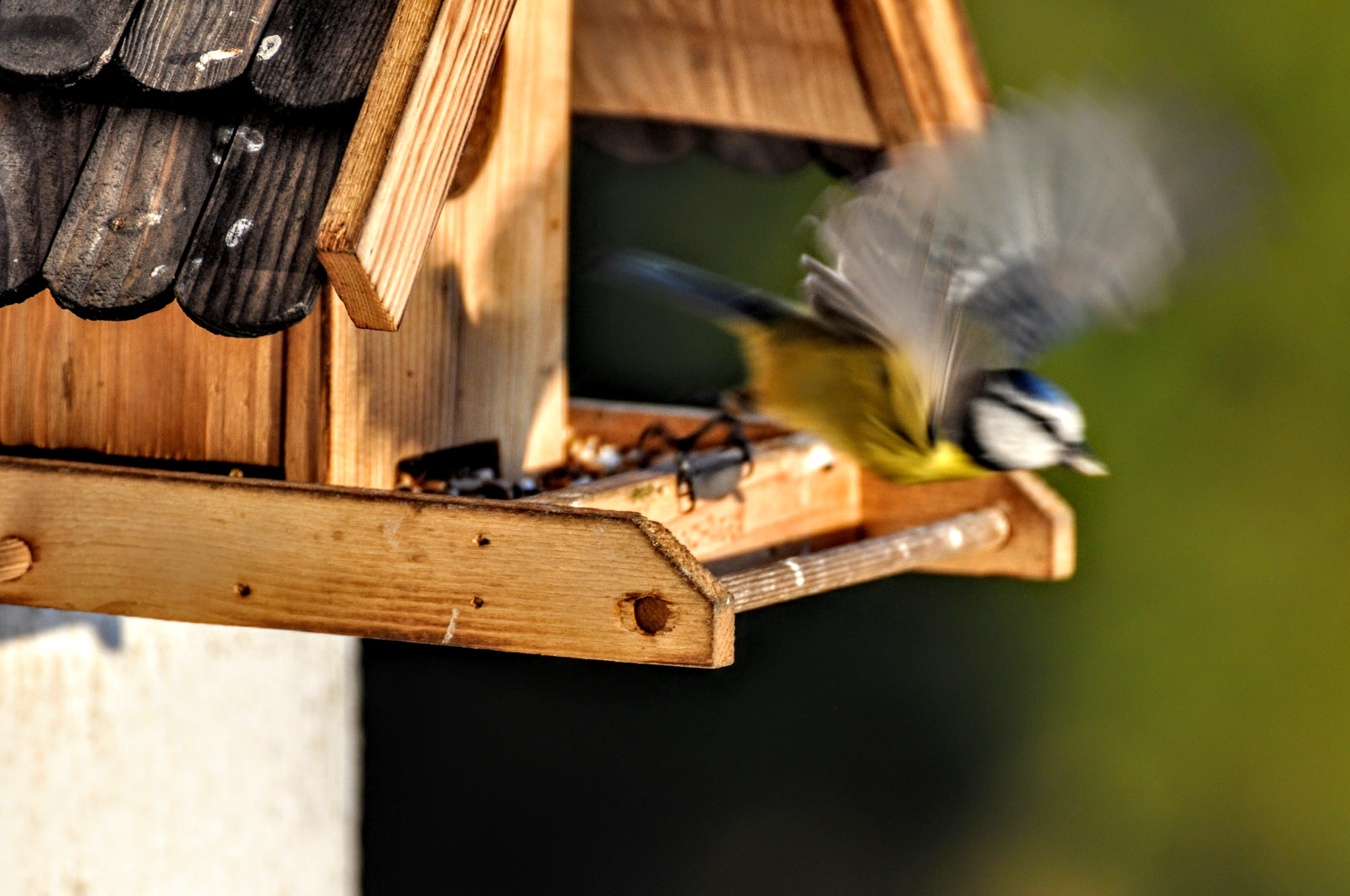 Nikon D90 sample photo. Taking off photography