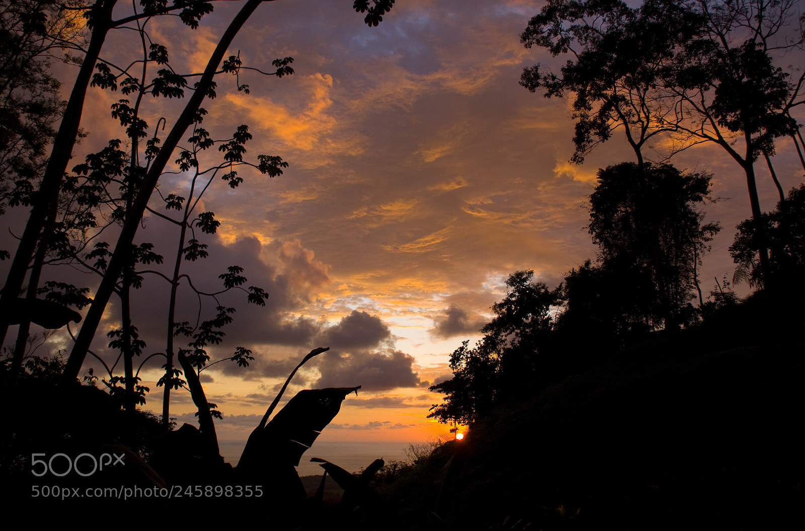 Canon EOS 50D sample photo. Flaming sky photography