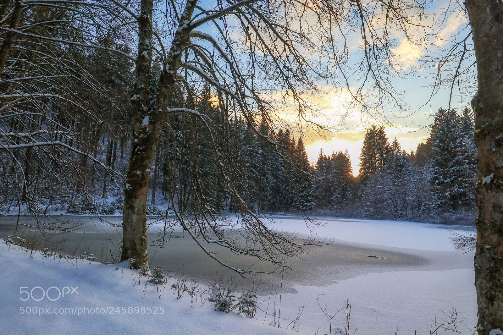 Canon EOS M5 sample photo. Abends am weiher photography