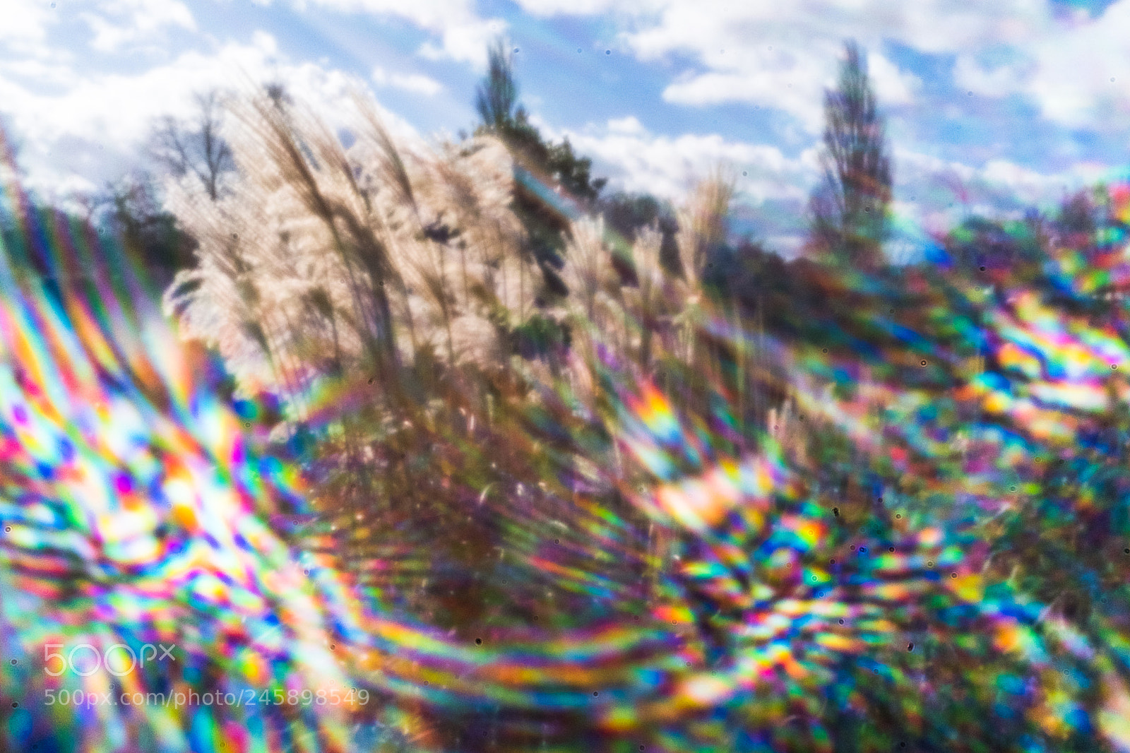 Fujifilm X-Pro2 sample photo. Light leak photography