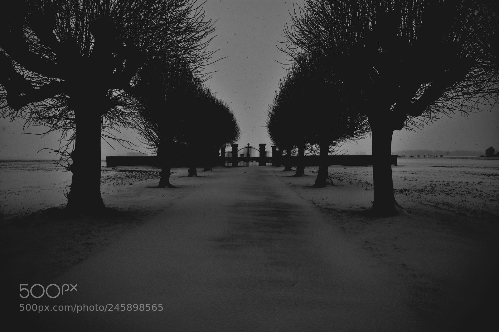 Nikon D7100 sample photo. La neige...acte ii... photography
