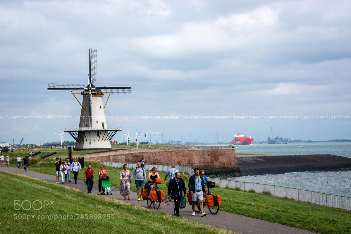 Nikon D7100 sample photo. The orangemill in vlissingen photography