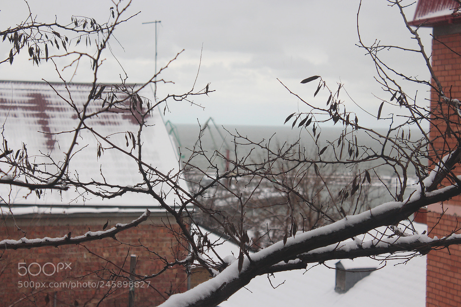 Canon EOS 650D (EOS Rebel T4i / EOS Kiss X6i) sample photo. Snowy day photography