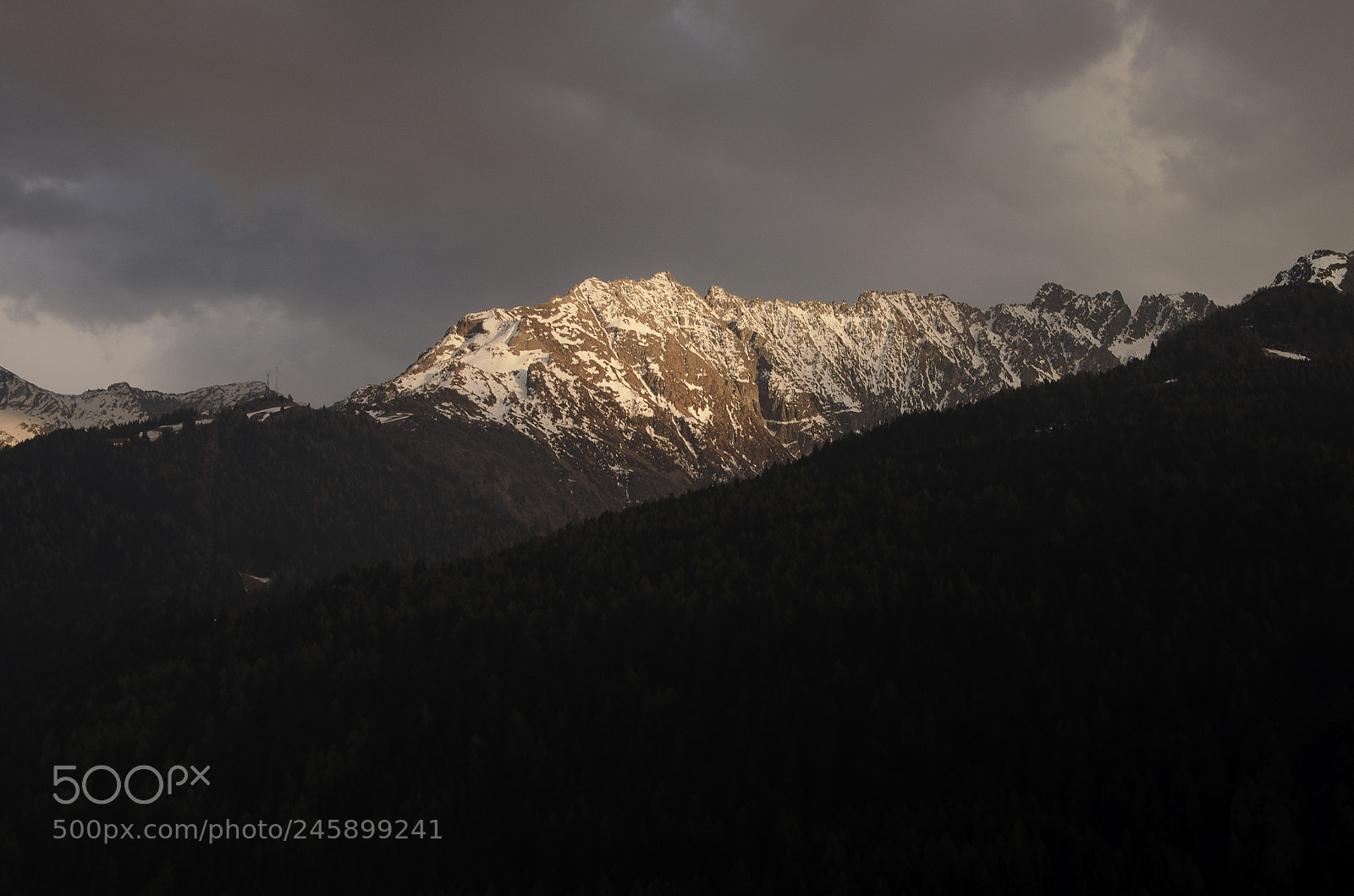 Nikon D5100 sample photo. Dsc photography